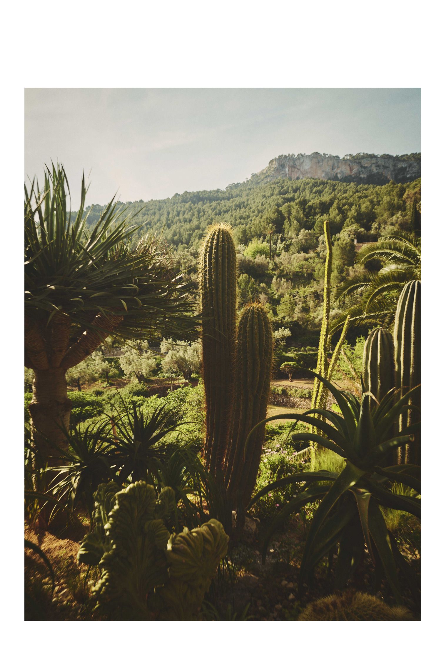 07_MAAG_Mallorca_mobile.jpg