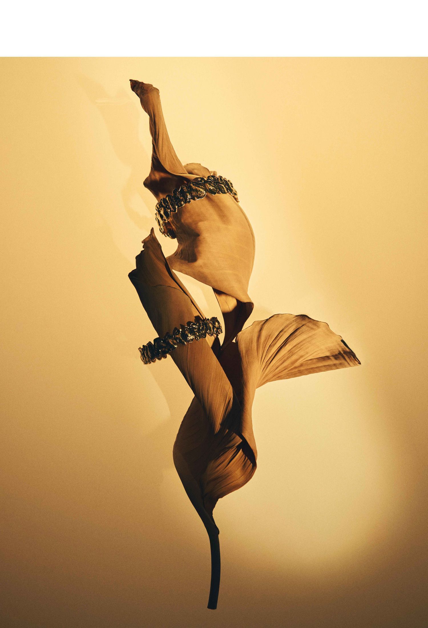 drop_6a9a682c077792.51666853.jpg