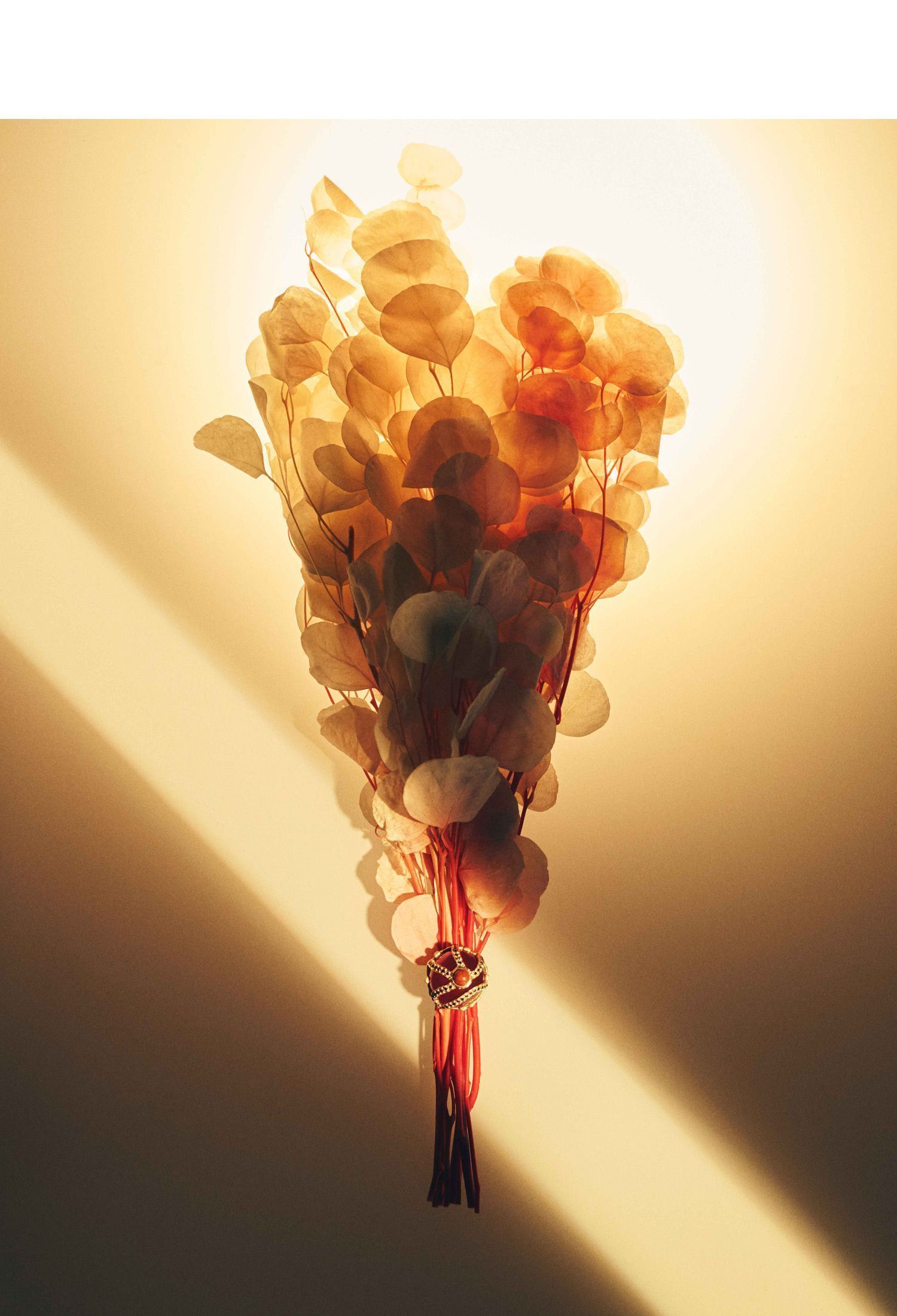 drop_6a9a682c891c12.88896720.jpg